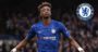 Tammy Abraham Akan Di Beri Kontrak Baru